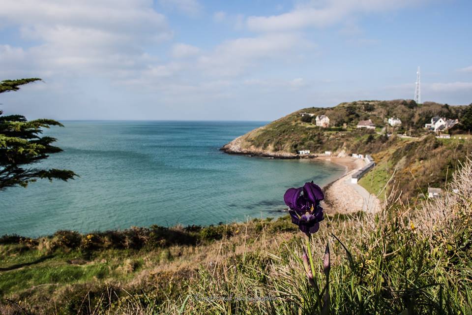 Vue de la falaise