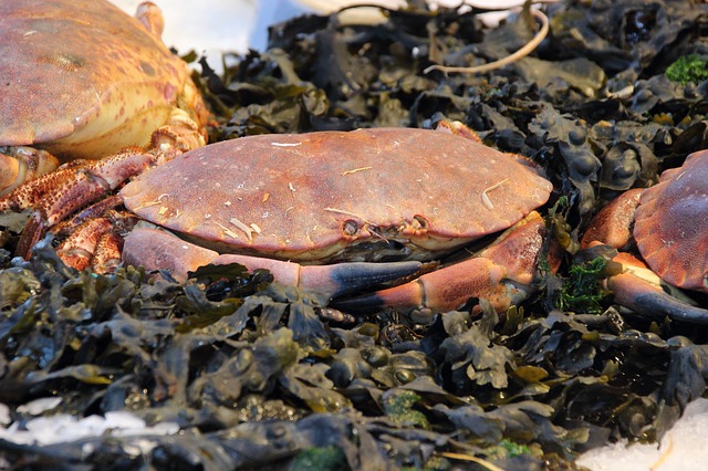 Etalage de crabe sur le marché